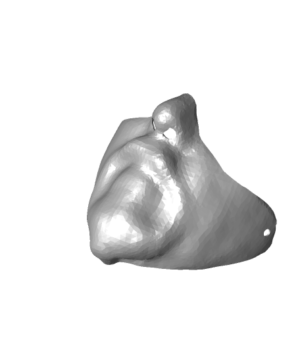 Half mask   COVID mask cover