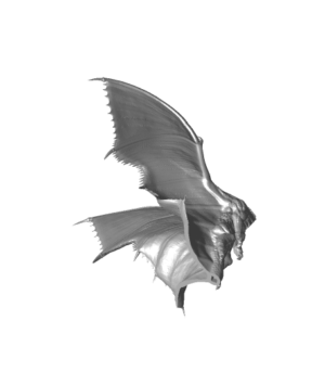 Adult Flying Brass Dragon