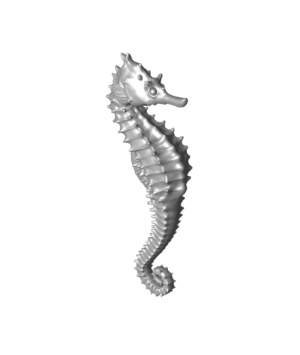 Giant Seahorse