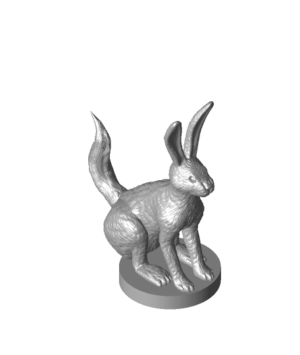 Long Tail Jack Rabbit