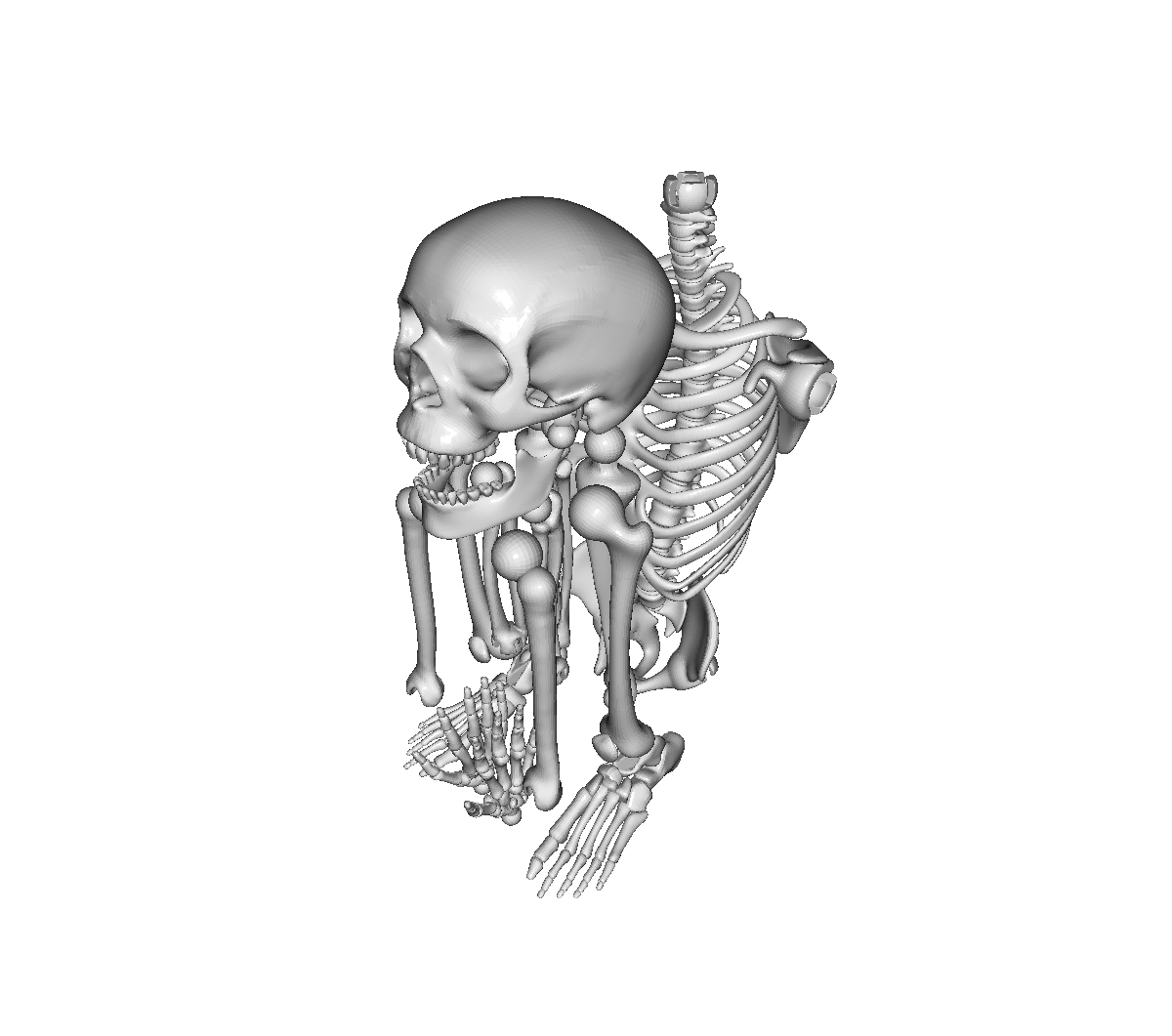 Mr Bones Full Final 1.stl - Cyber Make