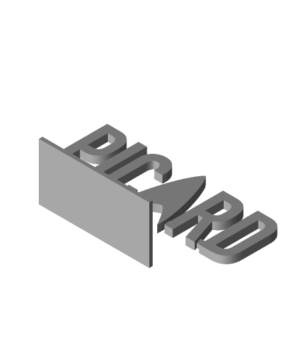 Star Trek  Picard Logo