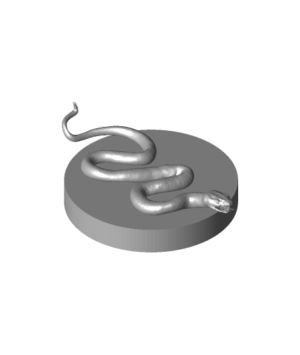 Poisonous Snake