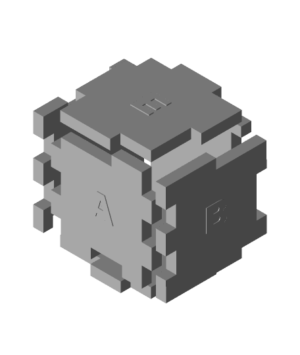 Purged Individual Pieces  D Puzzle Fitted stl