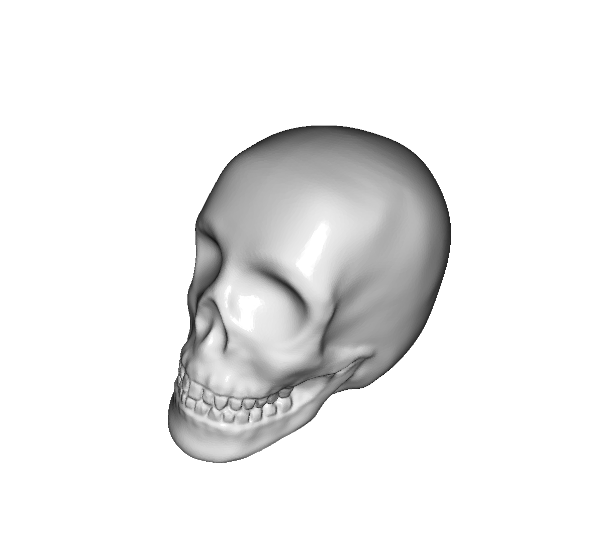 Realistic human skull STL file for 3D printing