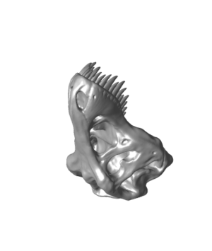 TRex Skull stl
