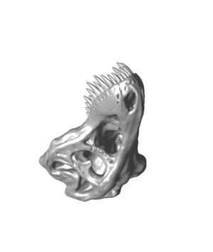 T RexSkull Skull stl